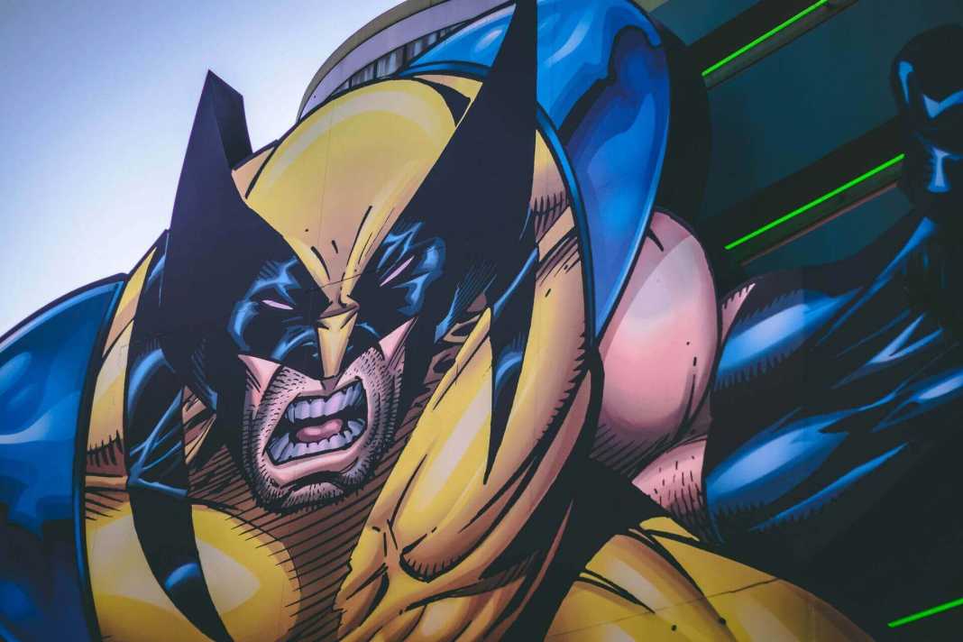 4 Haftalık Wolverine Antrenmanı